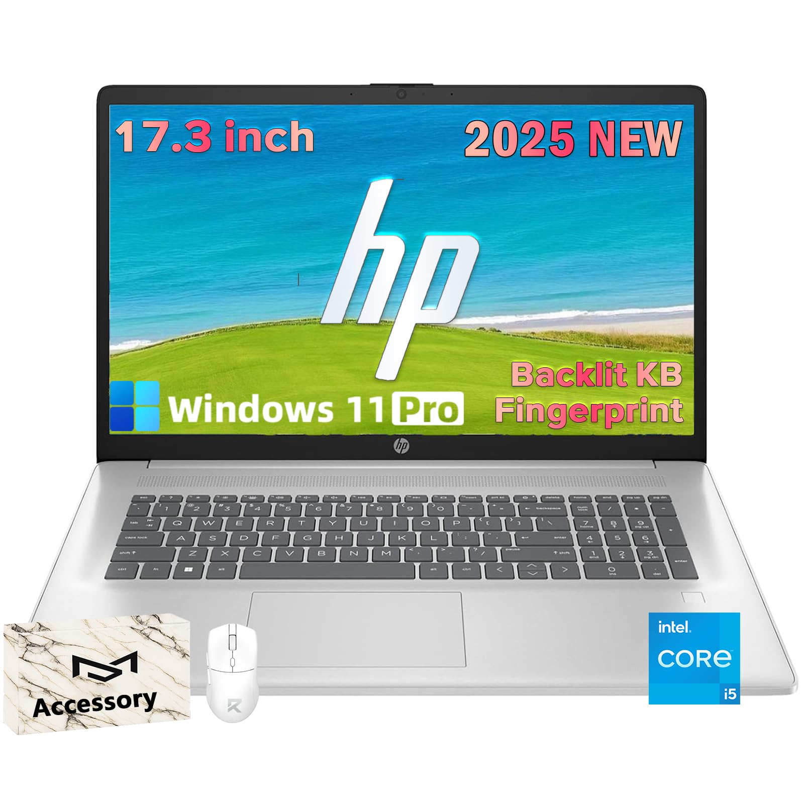 Amazon.com: HP 17.3 Laptop Computer for Business - Windows 11 Pro